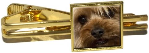 Yorkshire Terrier Yorkie Dog Square Tie Bar Clip Clasp Tack - Gold
