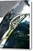 Vintage Plymouth Hood Ornament Canvas Print / Canvas Art - Artist Cathie Tyler