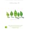Live Green and Change the World