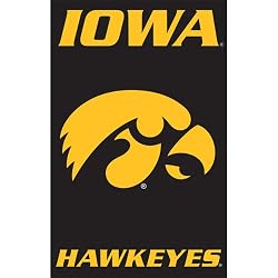Iowa Hawkeyes Applique Banner Flag