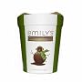 Emily's Chocolate Covered Mint Sandwich Cookies 10oz