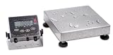 Ohaus Champ SQ Washdown Bench Scale CQ100L11W w/ 18 x 18 in. Platform (250 lb x 0.05 lb), Legal-for-Trade