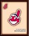 Cleveland Indians WOODEN WALL ART BAR/GAMEROOM/HOME DECOR - POSTER/PRINT