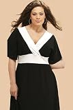 Truffle Colorblock Dress by Kiyonna