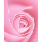 Breast Cancer Journal (All Proceeds from This Notebook Benefit the Weekend to End Breast Cancer to Support Research Into Finding a Cure) Engage Booksby A. R. Roumanis