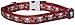 Red Dingo 25mm Skull & Roses Red Dog Collar, Large