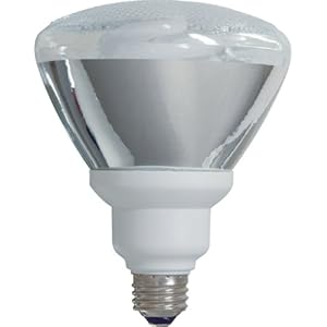 GE 21739 26-watt(90-watt equivalent) Energy Smart Outdoor Floodlight PAR38 Light Bulb