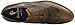 Robert Graham Men's Vanderbilt Oxford
