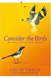 Consider the Birds: Who They are and What They Do