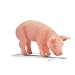 Schleich Piglet Eating