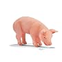 Schleich Piglet Eating