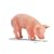 Schleich Piglet Eating