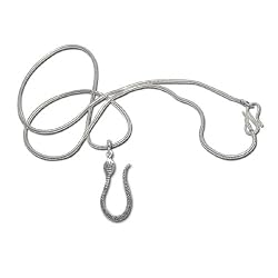 Snake Pendant with Chain Silver Jewelry 2 inches