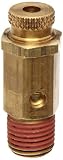 Control Devices NC Series Brass Non-Code Safety Valve, 25-200 psi Adjustable Pressure Range, 1/4