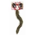 Fox Ears and Tail Kit