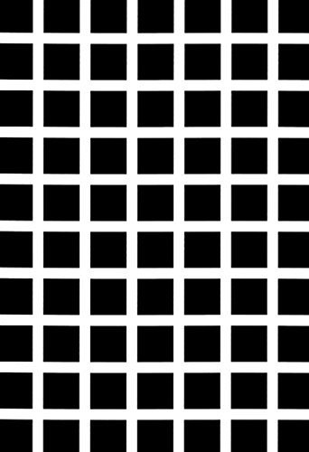 Black Squares Poster, Optical Illusion, Pulsing, Flashing Black Dots