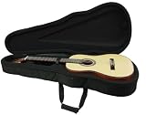 Infinity Music Brand New Classic Guitar with Case C-53