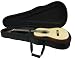 Infinity Music Brand New Classic Guitar with Case C-53