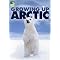 Polar bears . . in calendars !  How cute . . !