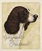 E'pagneul Francais by Vision Studio Art Print Poster