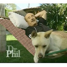 As seen on the Dr. Phil Show! Save $40 Pawleys Island Combo Hammock, Stand, Pillow by 
