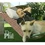 As seen on the Dr. Phil Show! Pawleys Island Combo Hammock, Stand, Pillow