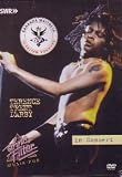 TERENCE TRENT D ARBY : IN CONCERT