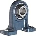 FYH UCP207-20 Pillow Block Mounted Bearing, 2 Bolt, 1-1/4" Inside Diameter, Set screw Lock, Cast Iron, Inch