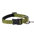 X-LARGE 26 IN - OLIVE - Padded Nylon Dog Collar