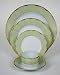 ILLUSION ENDIVE 5 PC PLACE SETTING