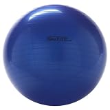 GoFit Exercise Ball