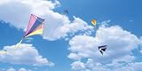 Kite Skypanels; Fluorsecent Light Diffuser