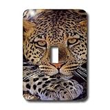 Wild animals - Leopard - Light Switch Covers - single toggle switch