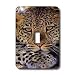 Wild animals - Leopard - Light Switch Covers - single toggle switch