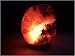 Himalayan Crystal Salt Lamp 4-5 Pounds Comes with Cord & Bulb, Manual & Place Mat