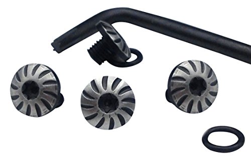 Exel S-1-D Sig P238 P938 Screws, 4 Screws, 4 O Ring, Torx Key, Black & Silver