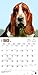 Basset Hounds 2016 Calendar