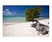 Eagle Beach with a Fofoti Divi Tree Aruba Photographic Poster Print by George Oze, 20x16