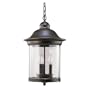 Sea Gull Lighting 60081-71 Three-Light Hermitage Outdoor Pendant, Clear Glass, Antique Bronze