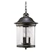 Sea Gull Lighting 60081-71 Three-Light Hermitage Outdoor Pendant, Clear Glass, Antique Bronze