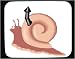 Mauspad mit Dekoration - Schornstein, Schnecke, Zeichentrickfilm, Tier, Residenz