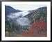 Foggy Valley from Morton Overlook, Great Smoky Mountains National Park, Tennessee, USA Collections Framed Art Poster Print by Adam Jones, 39x31