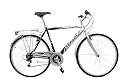 Atala Beach 19" Gents 18 Speed Equipped Hybrid