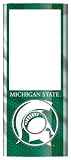Skinit Protective Skin Fits iPod NANO 5G (MICHIGAN STATE UNIVERSITY JERSEY)