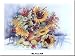 Sun Abundance by Alie Kruse-Kolk Fine Art Print / Poster 31.50 x 23.75 in.