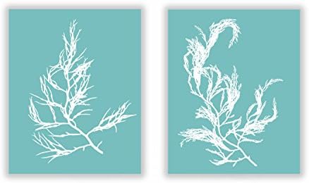 Set of Two Seaweed Prints No. 04 and 11 in Sea Foam Green, Coastal Decor Print Set