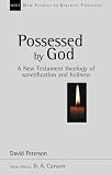 Possessed by God : a New Testament theology of sanctification and holiness