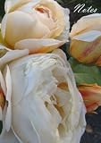 Produkt-Bild: Notes - Roses: Notizbuch, DIN A4, liniert