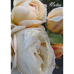 Notes - Roses: Notizbuch, DIN A4, liniert