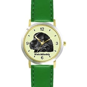 Newfoundland (SC) Dog - WATCHBUDDY® DESIGNER DELUXE TWO-TONE THEME WATCH - Arabic Numbers-EMERALD... by WatchBuddy